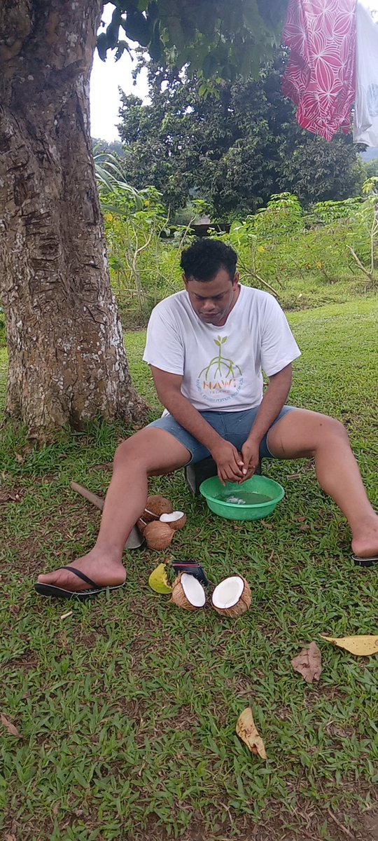 Niu ni Bele Vakalolo for lunch, have quite a long week of freshly, baked cookies and cakes.As well as freshly cooked Bele and Ota with ika vasi and breakfast made for a 👑Queen