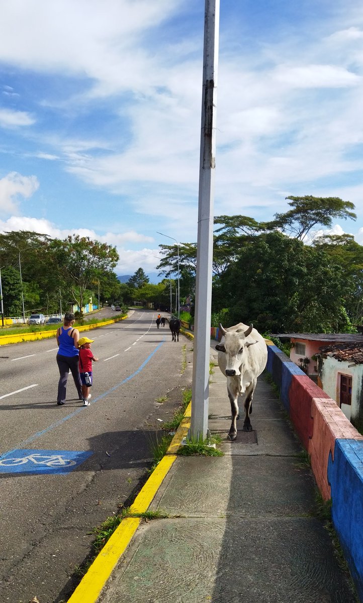 RDPR0911's tweet photo. Estampas de #SanCristóbal https://t.co/K2gP2LwshE