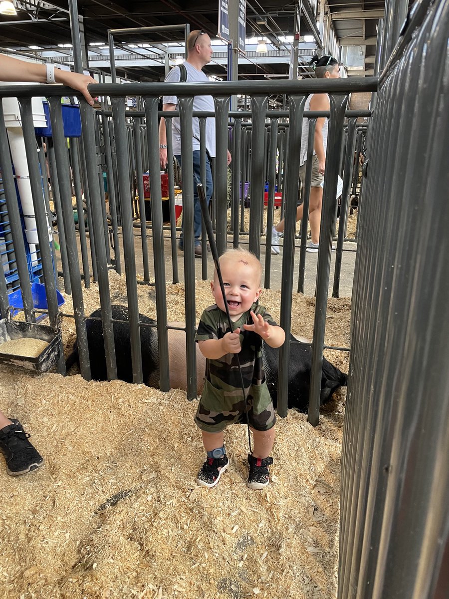 mrshannahanders's tweet photo. @jayErehder The next chapter is ready to go next summer now that he can walk!! https://t.co/UtD1lKBMDe