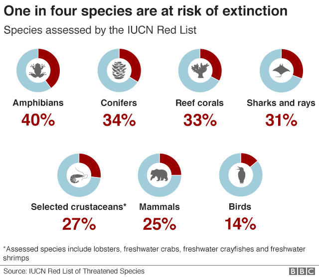 ZoeR_Coral's tweet photo. 👉 1 in 4 species are at risk of extinction - and that's just among those that have been assessed. Many many more are data deficient or have not been assessed #biodiversityloss #simplification #extinction #silentextinction https://t.co/IENi0qdb5w