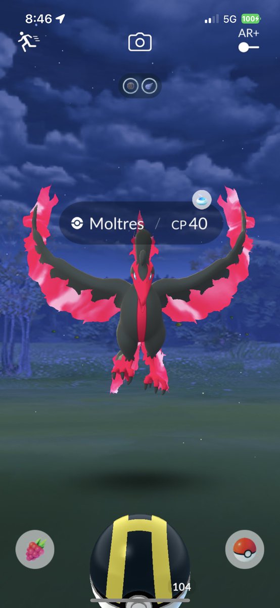 pokemasterkev's tweet photo. Can’t believe this ram from me too 🙃 #PokemonGO #moltres #galarianbirds 

This is my 6th Galarian bird I saw and all ran 🥹 https://t.co/IZHuzmjdDX