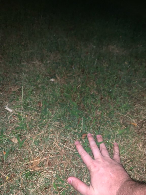 FragOutGaming tweet picture