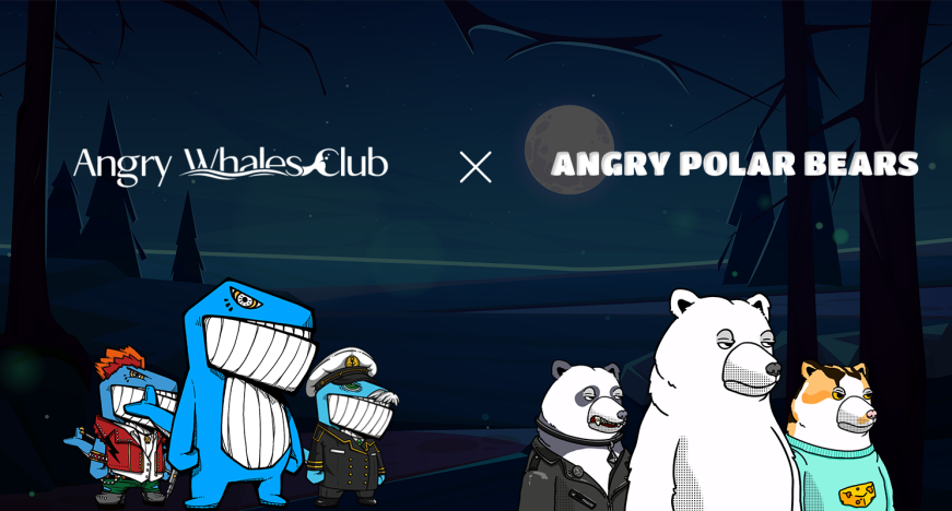 Angry Whales Club tweet media