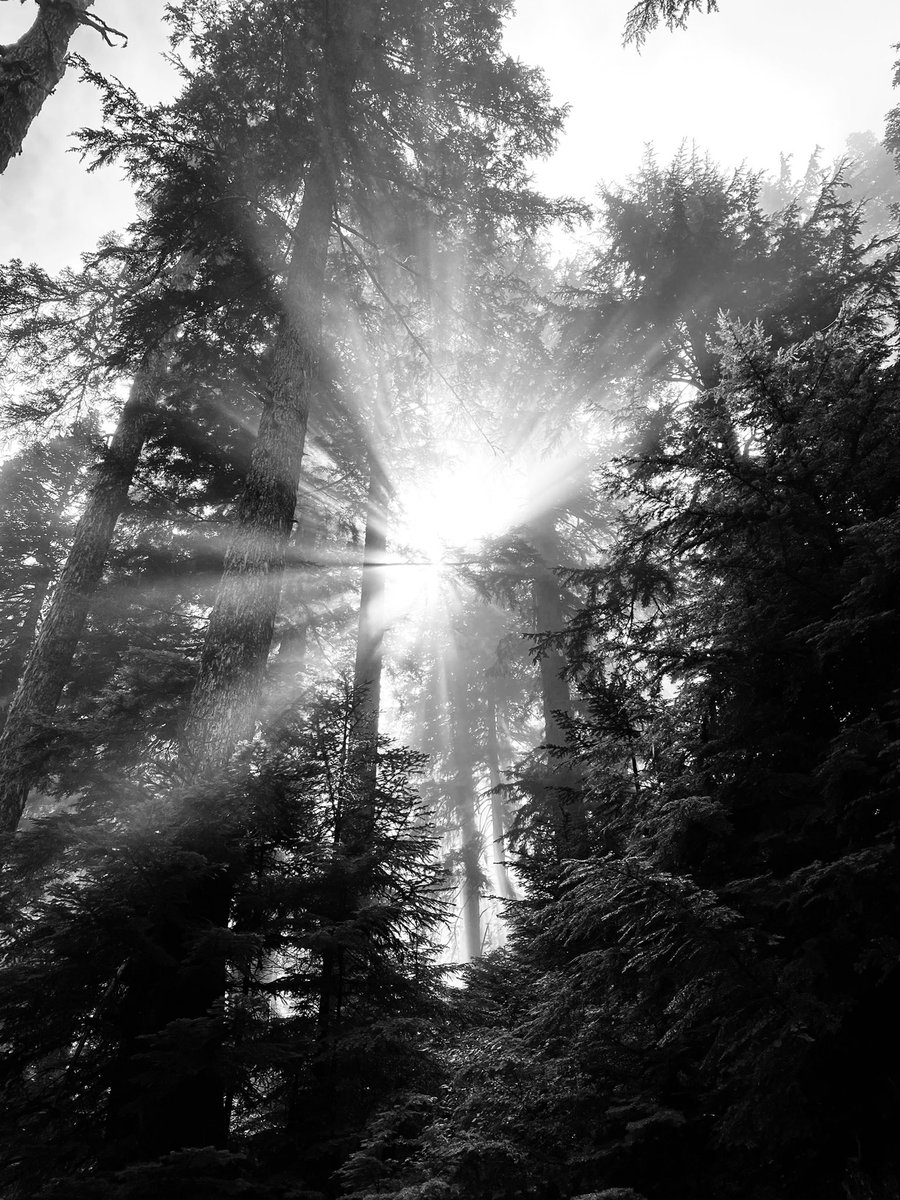 katyac_h2o's tweet photo. Blessed to live in a city where everyday feels like vacation. The access to nature and breathtaking views near Seattle are unparalleled. Hiked up to the lookout at @Mount_Pilchuck today, which offered views of the North Cascades &amp; Olympics. Happy early birthday @envbio!!! 🎈🎂🎉 https://t.co/5gFzopxKb6