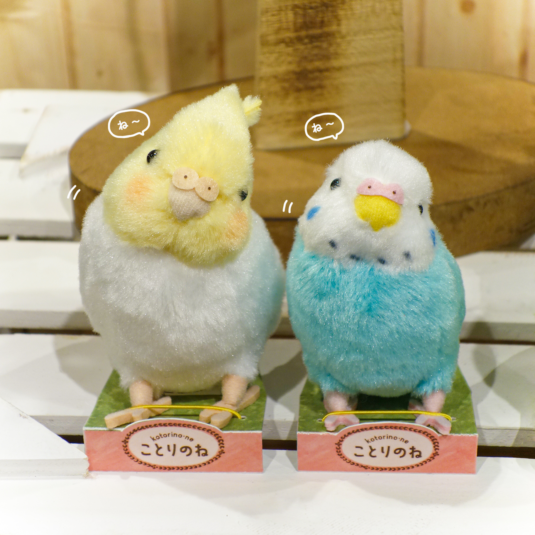 ぬいぐるみ 猫 かわいい アニマル 動物 抱きまくら S ポクシン