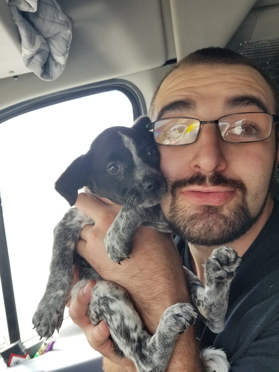MarleyMud's tweet photo. 34 #RescueDogs and 1 #rescuecat this #RescueTransport. These #furbabies had a long #freedomride from #Louisiana, #Oklahoma, and #arkansas to the northeast. We absolutely love knowing that they are going to loving #fureverhomes. #AdoptDontShop https://t.co/ApvunrUCUd