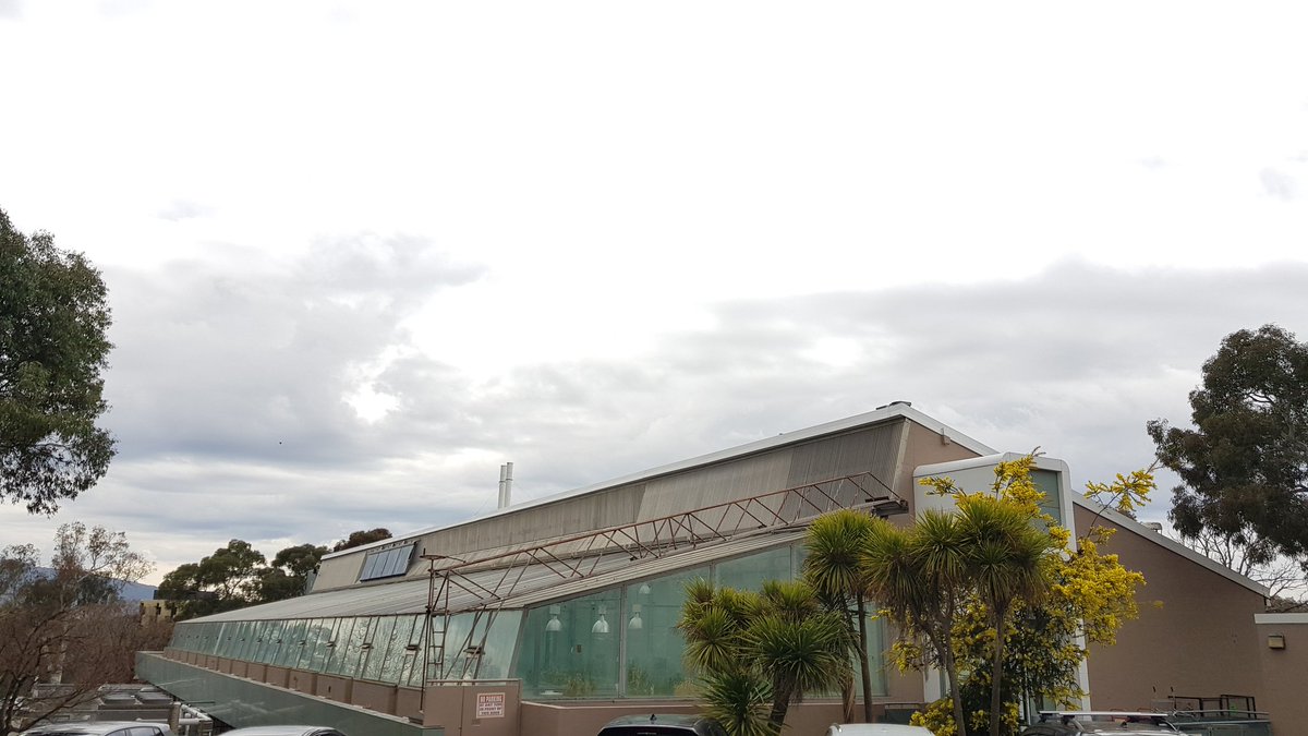 ColleenMac3's tweet photo. The Canberra Phytotron was opened on this day 1962 - 60yrs by the then Prime Minister Menzies! A national Australian plant science facility - with a vision of plant based food security.  I love this building, and the science happens/ed here. #CanberraPhytotron60 @CSIRO https://t.co/e7ertZiA9B