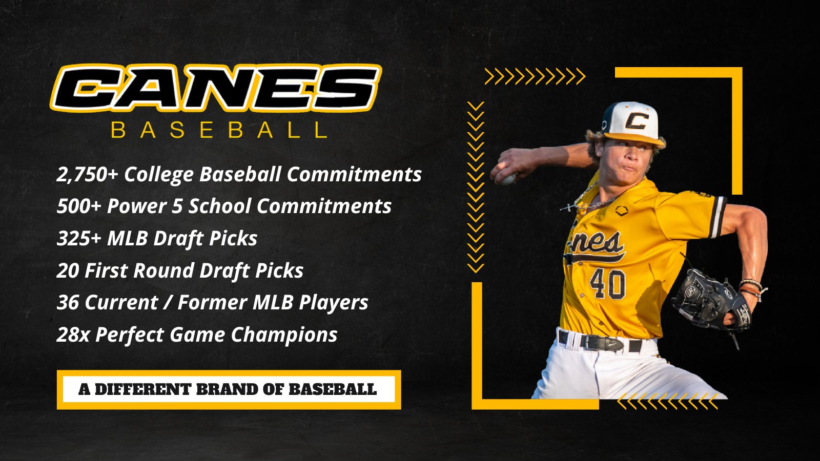 Canes Central Illinois 2025 (CanesCI_2025) / Twitter