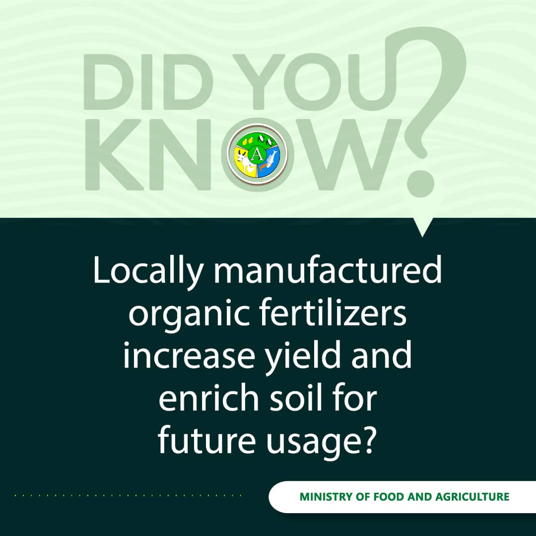 mofagovgh's tweet photo. #Fertilizers are essential #agriculturalinputs that revitalize the soil by providing #nutrients required for plants to thrive. These inputs are classed into #organicfertilizers & #inorganicfertilizers.
#MoFA
#PFJ
#PERD
#increasedyield
#increasedprofits https://t.co/7stIvs6YCx