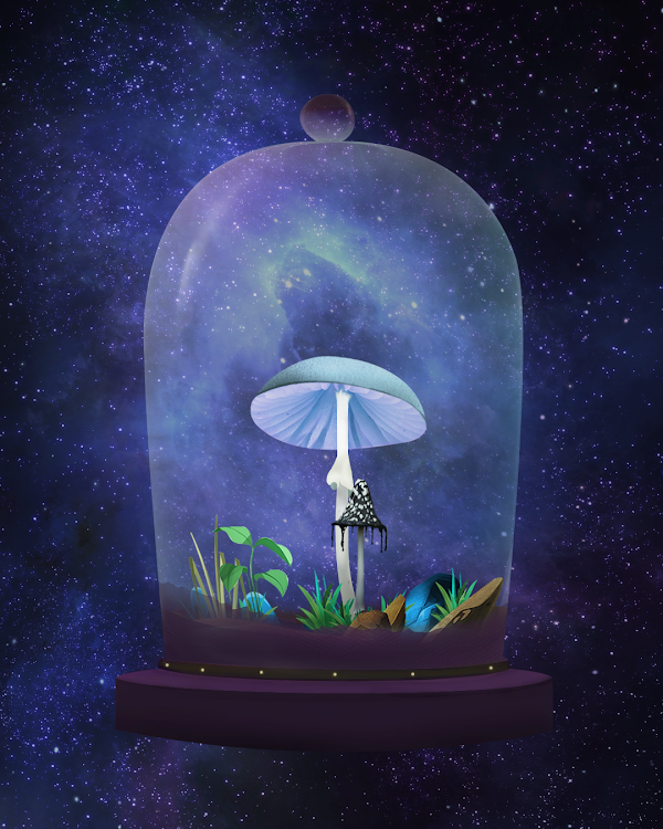 terrarium_club tweet picture