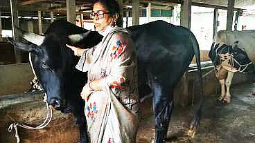 NadiaRehman777's tweet photo. Mayarani Baul won '#Bangabandhu National Agriculture Award' in the best farmer category twice- bronze in 2017 and gold in 2021. She has more than fifty cows in her farm & she is also cultivating 30 bighas of land.
#GoodDayBD https://t.co/EYqSbHVMGd