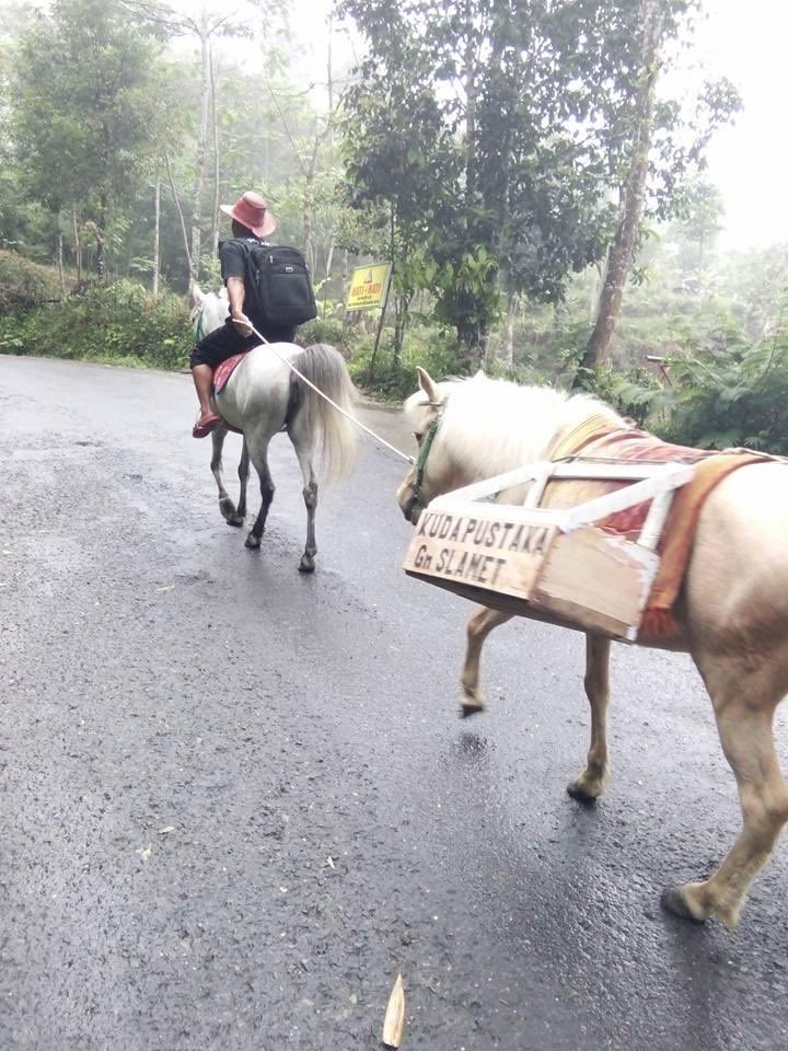 tcareid's tweet photo. TWITTER PLEASE DO YOUR MAGIC✨

Guys, aku mau cerita pengalamanku ketemu sama kuda pustaka! Hah apaan tuh? Jadi ada kuda bawa buku di Gunung Slamet gitu buat dipinjemin ke anak-anak di sana. Keren polll konsepnya! Jadi yang punya ide ini namanya Pak Ridwan. https://t.co/iIBcGneBD7