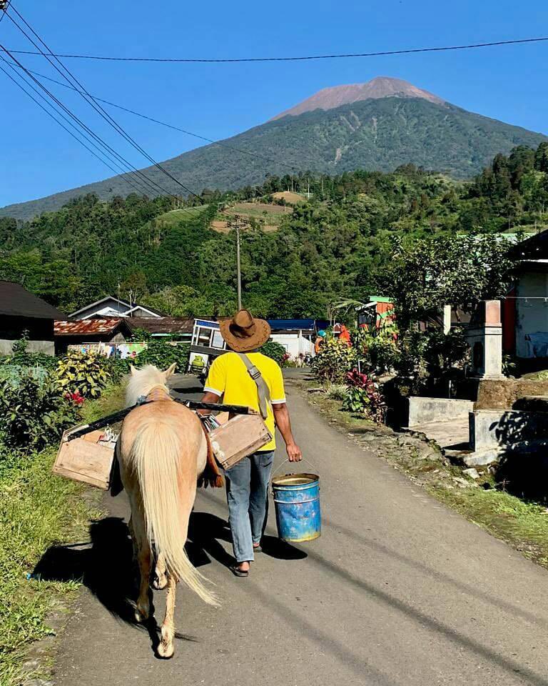 tcareid's tweet photo. TWITTER PLEASE DO YOUR MAGIC✨

Guys, aku mau cerita pengalamanku ketemu sama kuda pustaka! Hah apaan tuh? Jadi ada kuda bawa buku di Gunung Slamet gitu buat dipinjemin ke anak-anak di sana. Keren polll konsepnya! Jadi yang punya ide ini namanya Pak Ridwan. https://t.co/iIBcGneBD7