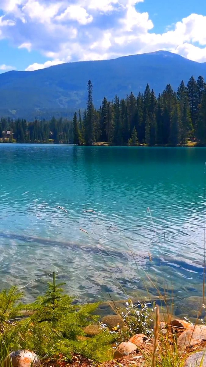 사랑나이 (@logmassdol01054) on Twitter photo 