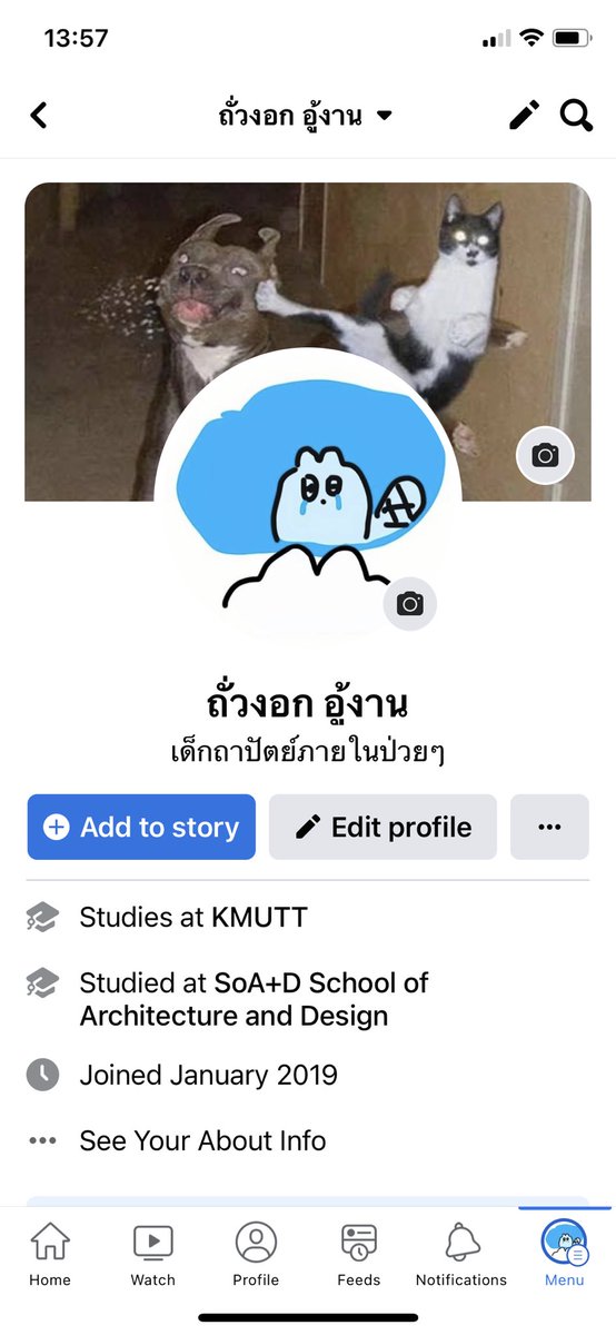 ᵾɍɨɇł🌒 (SS4) | slow tweet media