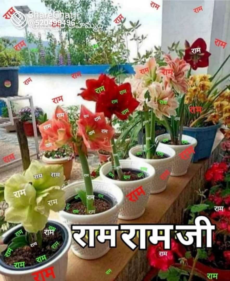 atulpariharmca's tweet photo. #GodMorningMonday #indoa
Gm all https://t.co/aXcPI8Fxyj