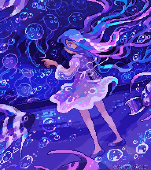 moon jellyfish  