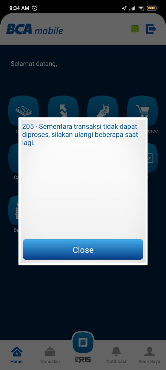 ealahdym's tweet photo. @HaloBCA min kapan lalu eror 200 sekrang jadi 205 :( gmn ini bca https://t.co/0LqRdLOx9m