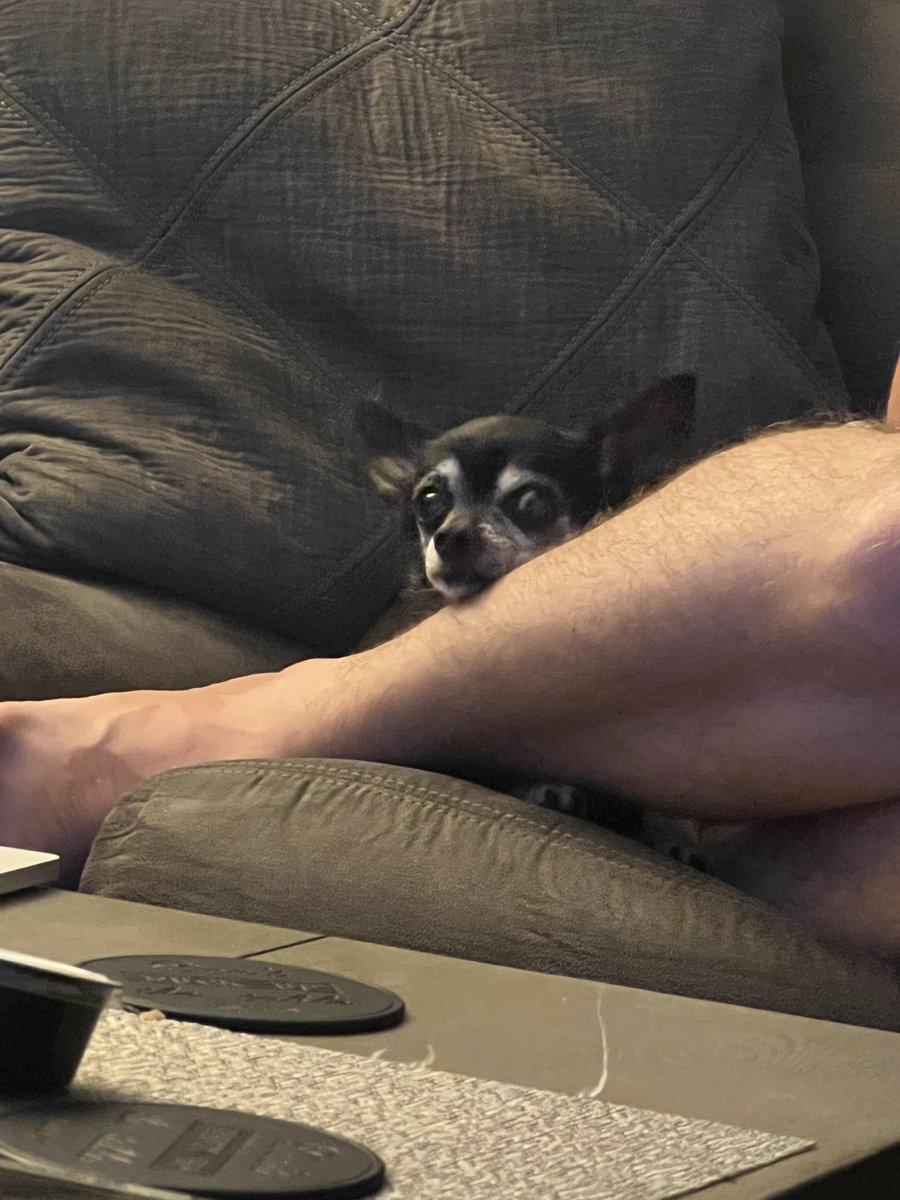 HeyItsDuke's tweet photo. When you realize the joke someone made hours later https://t.co/l6eTnLHGW8