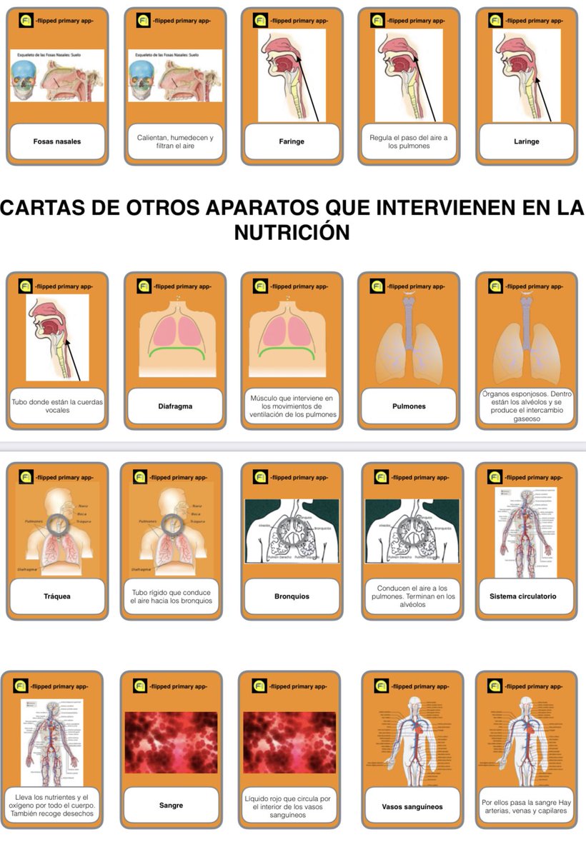 Hace varios cursos creé varios juegos de cartas para aprender de una forma lúdica los procesos de la nutrición, sus aparatos, órganos,…Si las queréis os dejo este enlace de descarga 
👉 bit.ly/CartasNutrició…
<a href="/tonibernabeu123/">ANTONIO BERNABEU</a> <a href="/NimoLearn/">Jero García 🦊</a> <a href="/dacilgonz/">Sita Dácil</a> <a href="/fernando_marti7/">Fernando Martí</a> <a href="/imgende/">Ingrid Mosquera</a>