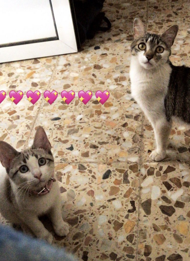 mandyxmantyx's tweet image. cada mañana le doy gracias a la vida x tener a mi familia