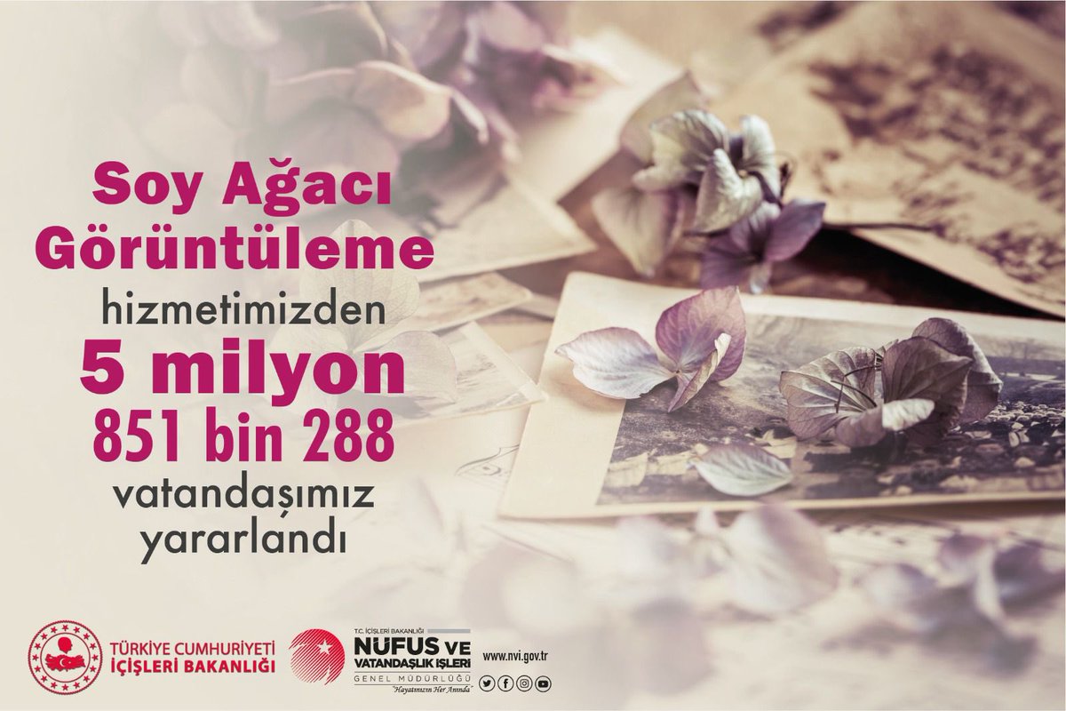 sefikaygol's tweet photo. Soyağacınızı çerçeveletip kütüphanenize astınız mı yeni haftaya Bismillah #HayatınızınHerAnında https://t.co/fajw71xs8F