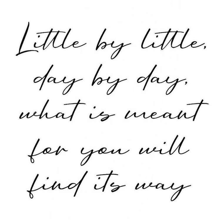 ModsOfDiversity's tweet photo. What is meant for you won’t pass you by…
#positivethoughts #whatismeanttobewillbe #positivity #manifestation https://t.co/dL6tDnMoiy