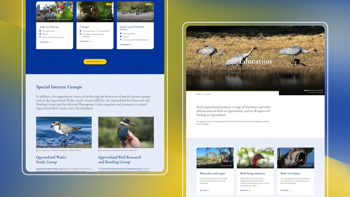 CalebGittins's tweet photo. Excited to share a passion project of mine, the new website for Birds Queensland! 

Along with other members, I've spent the last 18 months redesigning and redeveloping the site, and I’m very proud of the end result. 

#birdsqueensland #birdsqld #birdconvservation #birdresearch https://t.co/1snsQFhTUi