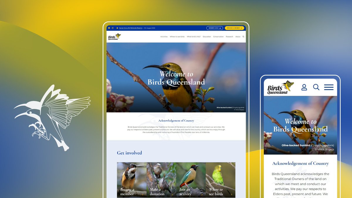 CalebGittins's tweet photo. Excited to share a passion project of mine, the new website for Birds Queensland! 

Along with other members, I've spent the last 18 months redesigning and redeveloping the site, and I’m very proud of the end result. 

#birdsqueensland #birdsqld #birdconvservation #birdresearch https://t.co/1snsQFhTUi