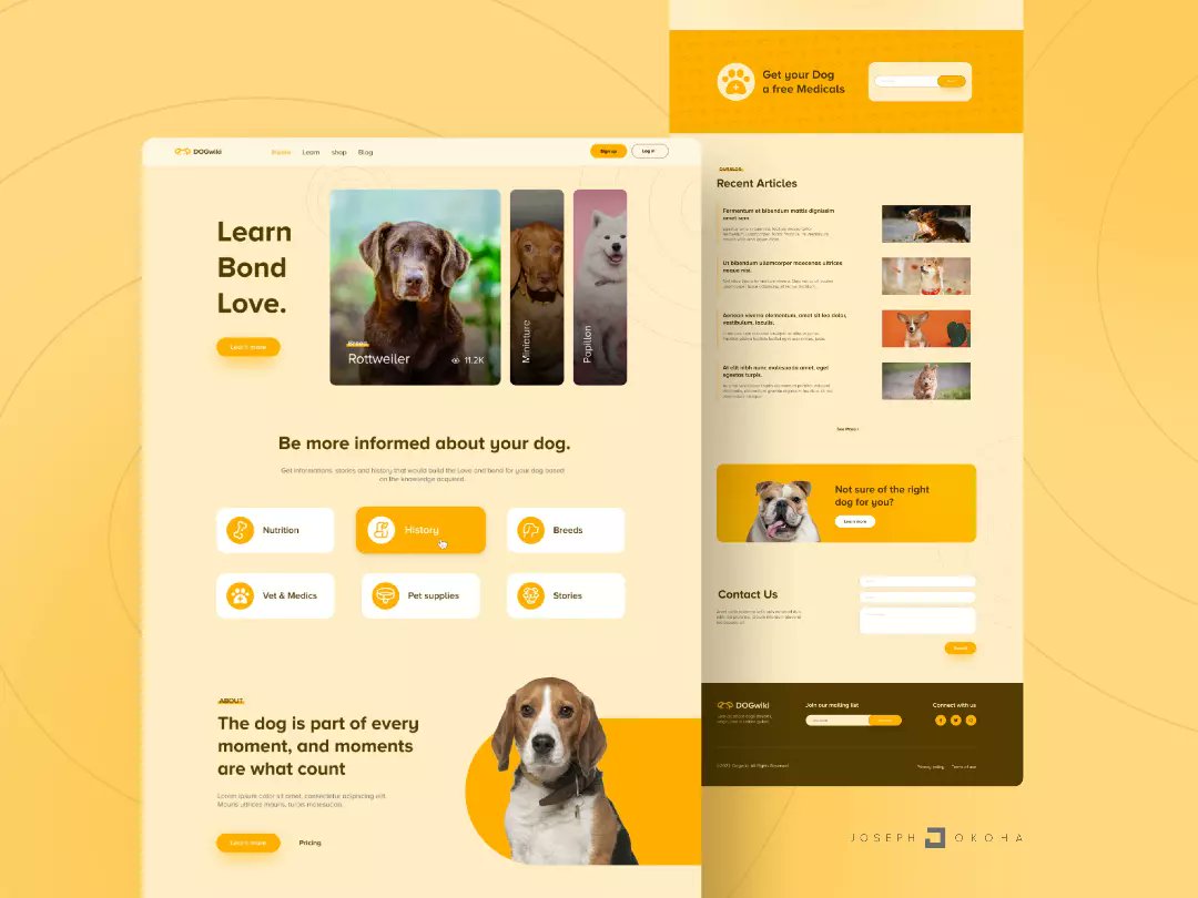 josephonchain's tweet photo. USER EXPERIENCE: Dogwiki is an educational website that educates people about their dog and help every dog owner bond with man's favorite friend.
Follow for more!
Thanks for viewing.
#userinterface #UIUX #ui #figma #dog #dogwebsite #lovedog #webdesign #website #design #uidesign https://t.co/3AWdv4yGX2
