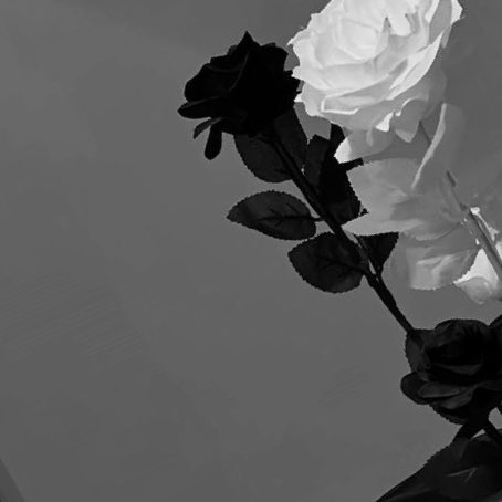 baby_babyboBui's tweet photo. 🎧🖤
“มึงยังเขียนเพลงถึงเขาอยู่หรอวะเจต”
“เออ ทุกเพลงที่กูร้องกูแต่ง กูเขียนถึงเขาเสมอ”
“แต่มึงกับเขาเลิกกันไปเป็นปีแล้วนะ ทำไมมึงไม่มูฟออน เริ่มต้นใหม่สักทีวะ”
“กูก็อยากเริ่มต้นใหม่เหมือนกัน แต่อยากเริ่มต้นใหม่กับคนเดิม”
#zelong https://t.co/fCUZXscHmq