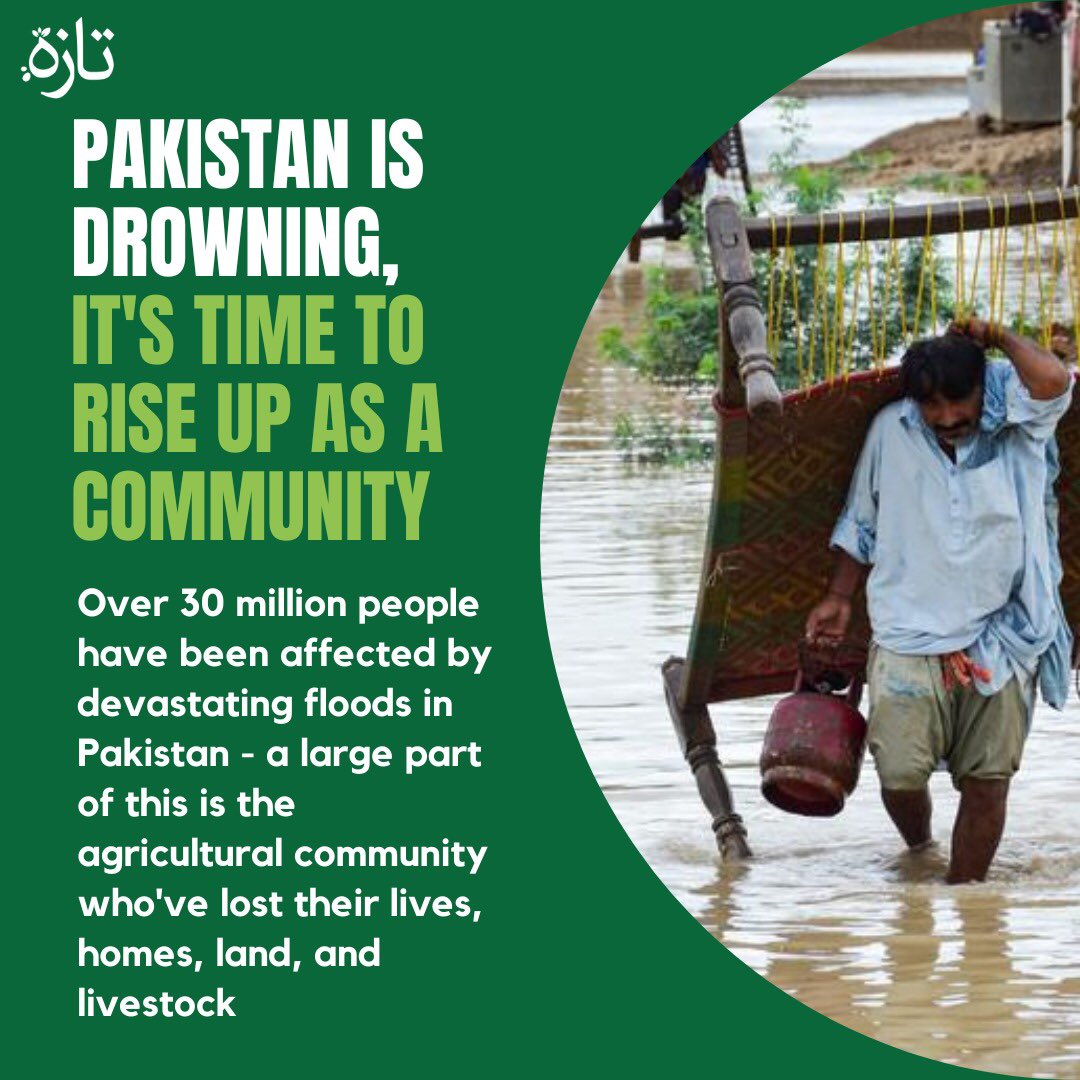 Pakistan and its people are drowning. What awaits our country and some of its most vulnerable is a long and hard battle

Donate and volunteer at <a href="/wdf_pk/">Women Democratic Front ناری جمھوری محاذ</a> <a href="/rizq/">Muhammad Rizki</a> <a href="/paaniproject/">پانی Paani</a> <a href="/AlkhidmatOrg/">Alkhidmat Foundation Pakistan</a> 

Image: Yasir Rajput 

#tazah #pakistanfloods #climatechange #donate #volunteer