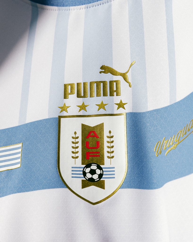 PUMA Twitter: "La Celeste in a fresh take 🇺🇾 The 2022 @AUFOficial Away kit, out now. https://t.co/eAAeaydz2w" / Twitter