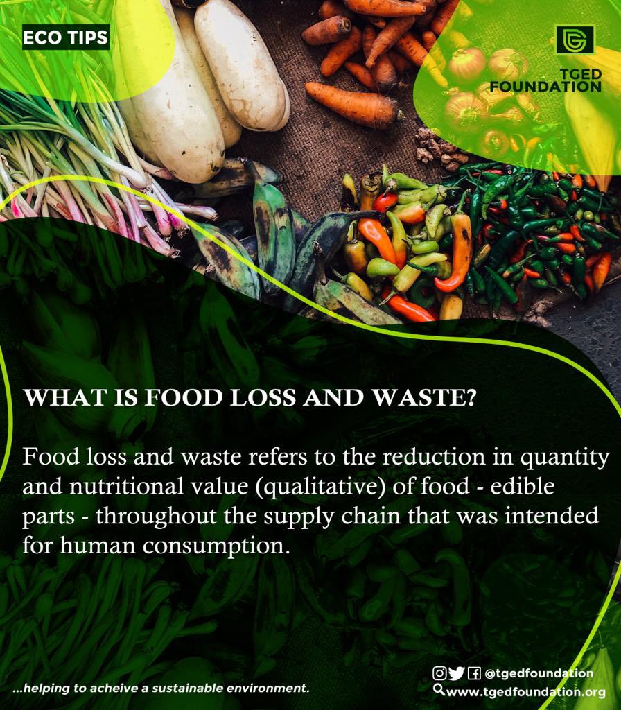 tgedfoundation's tweet photo. Food loss and waste have become a global concern over the years and is widely seen as a key barrier to global sustainability.

#foodlossbusters #foodlossrecipes #foodlossesandwaste #foodlosswaste #foodlossreduction #foodlosses #foodlossawarenessweek #foodlossprevention https://t.co/B9BotG72s5