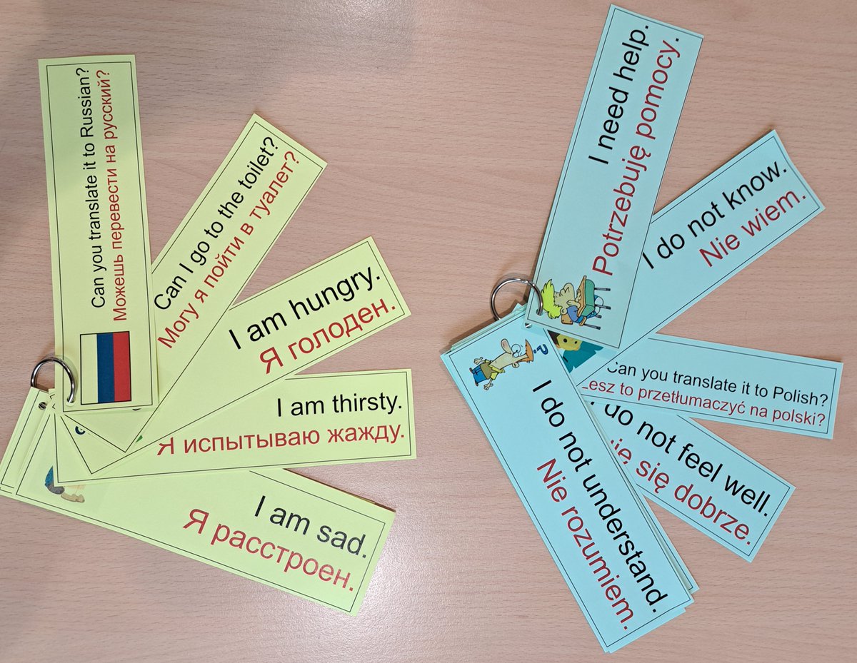 Making sure our new starters with no English have a voice and are welcomed by having some survival phrases in their #homelanguages along with visuals to help them express their needs and feelings in the classroom. #alllanguagesmatter #multilingual #eal #esl #translanguaging