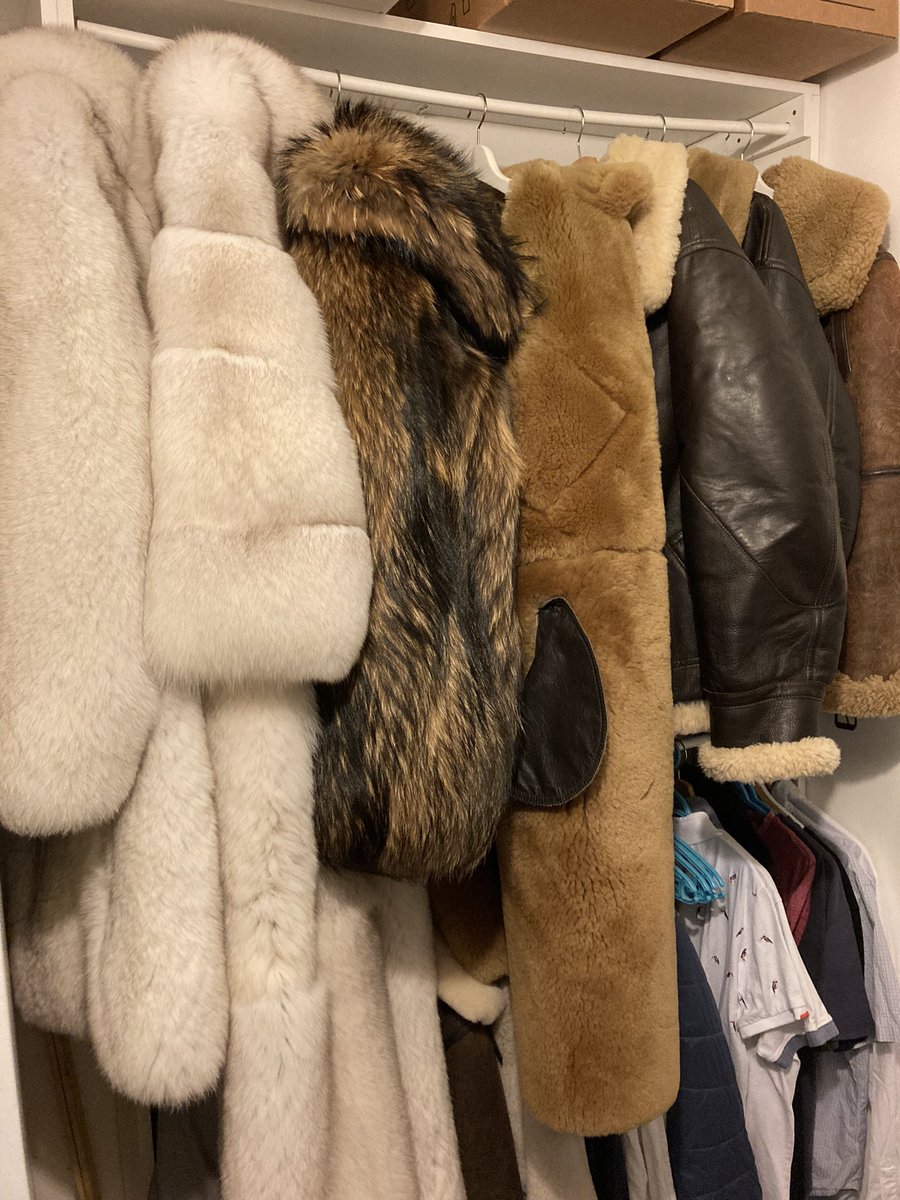 KozichVla's tweet photo. Furry beasts back home #furformen https://t.co/YGgWjR0mq3