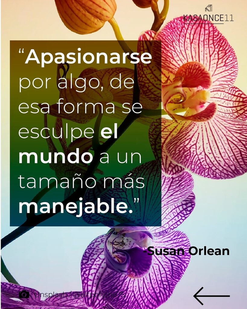 kasaonce's tweet photo. “Apasionarse por algo, de esa forma se esculpe el mundo a un tamaño más manejable.”

Susan Orlean (1955) es una periodista y escritora estadounidense.

Trabaja para la revista The New Yorker desde 1982 y ha publicado artículos en Vogue, Rolling Stone, Es… https://t.co/3dKJu36nOG https://t.co/jonINwlXtZ