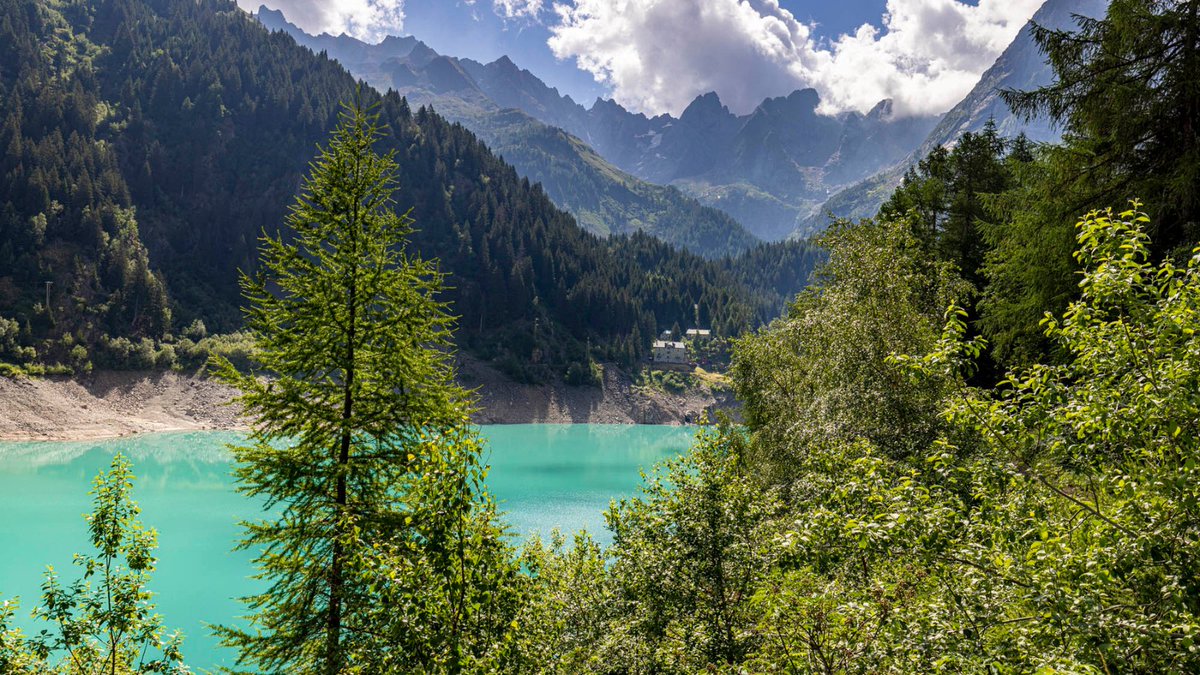 valtellina's tweet photo. #cartolina dal Lago di #Scais, perla delle #Orobie valtellinesi
#postcard from the #lake of Scais, near @VisitaSondrio
@inLOMBARDIA #amolavatellina https://t.co/X24lbXHgyd