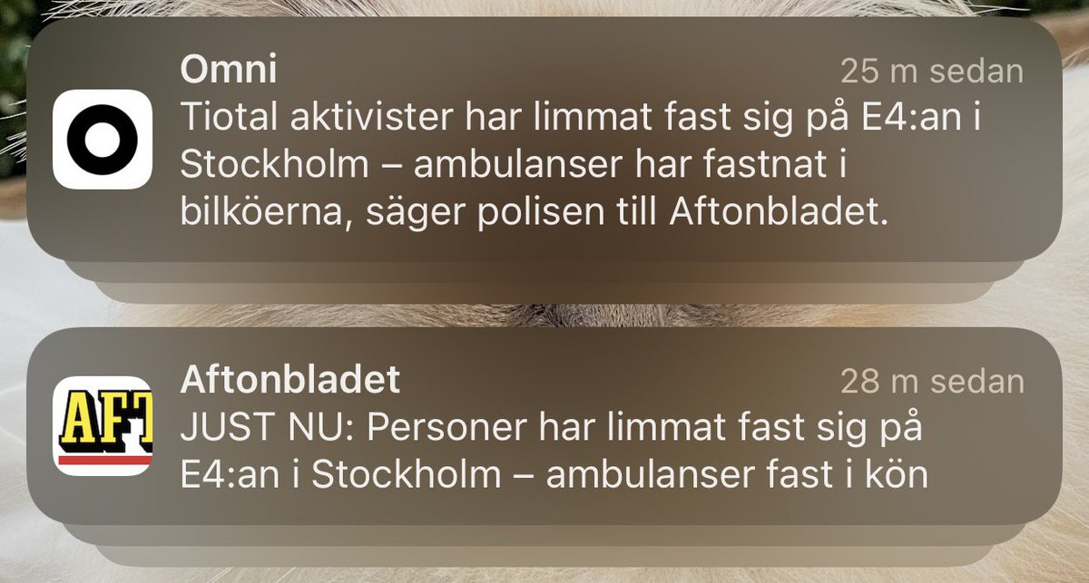alfredssons's tweet photo. Det räcker nu. https://t.co/IaA38TTDt8