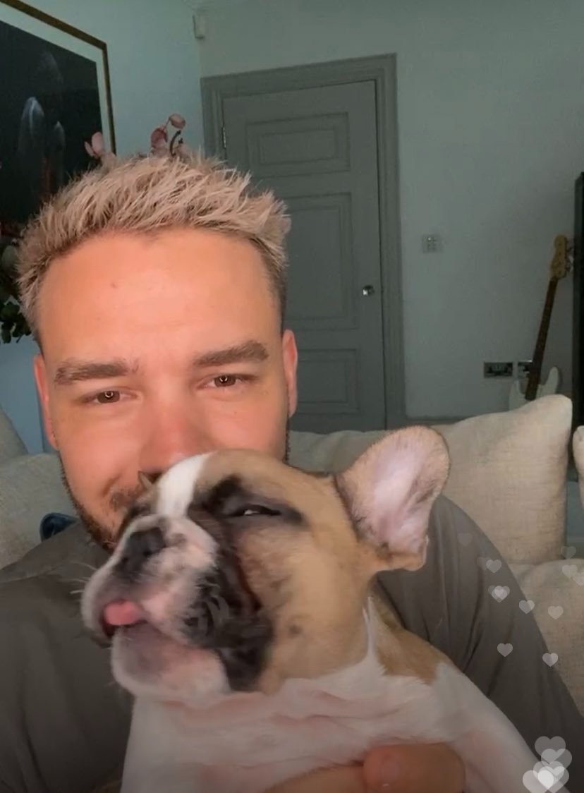 HAPPY BIRTHDAY MY LOVE!  liam payne details - especial aniversário 