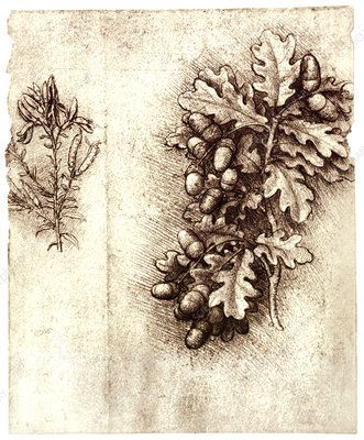 Leonardo da Vinci 