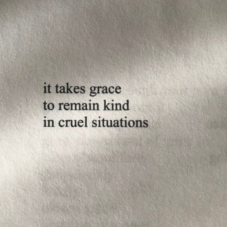 lisalivesaloha's tweet photo. Manti Te’o reflects the beauty of the place where he was raised. He IS the embodiment of the TRUE + PURE Spirit of Aloha. ❤️  Grace, Love + Staying Kind. https://t.co/PFMsdB92xQ