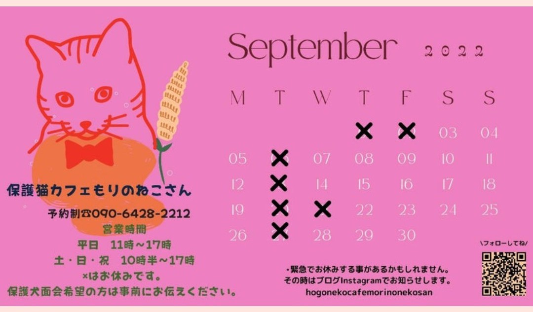 保護猫カフェを応援中 6 Ayaka 9 Twitter