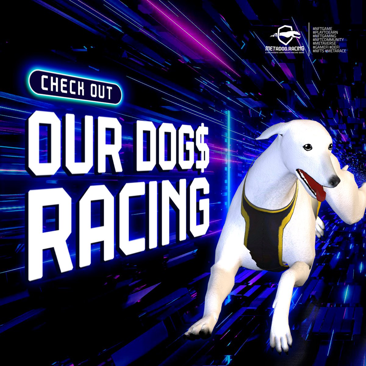 👀 Looking for more fun, unique and blockchain based games? Check out our newest game, Crypto Champions🤘

 t.me/MetaRaceWorld

#Ethereum #BSC #Solana #NFT #NFTCommunity #GameFi #NFTGame #METADOGRACING $dogs #MetaNFT #PlayToEarn #Metaverse #Bitcoin #BTC