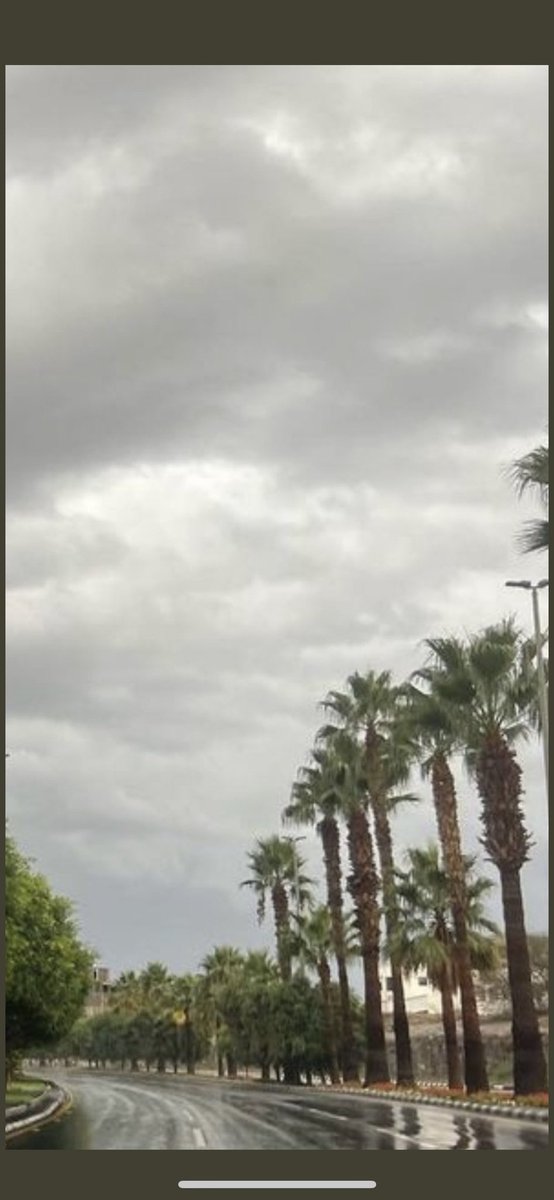 bdd186's tweet photo. ٠
لاتكن في العيش مجروح الفؤاد
           أنما الرزق على الله الكريم🌴🌴.. https://t.co/eW9CgJUYtR