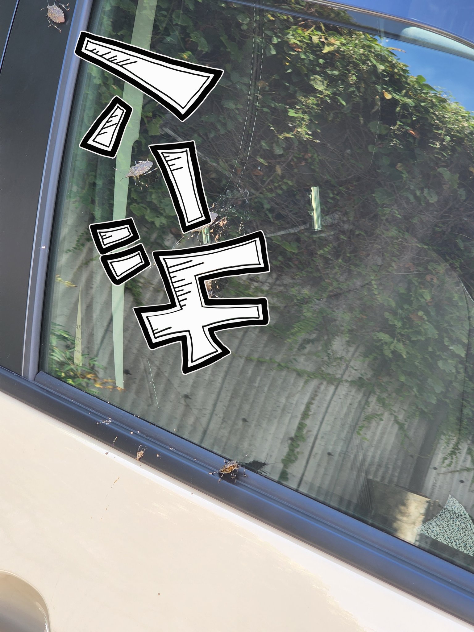 あ様 ねぇー今日夜勤から帰ろうと車乗ろうとしたら運転席側にデカいカメムシ7匹固まって窓に糞くっついてて 助手席から乗ろうとしたら反対にもカメムシ群がってて 調べたらマダラカメムシで鳥の糞を食べるらしく 会社の駐車場鳥の糞よく落とされるんだけど