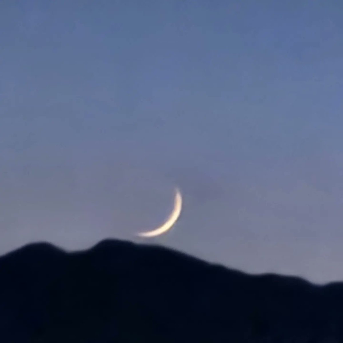TheAllenMerritt's tweet photo. Moon going down same time as sun. https://t.co/9g4OD33Cre