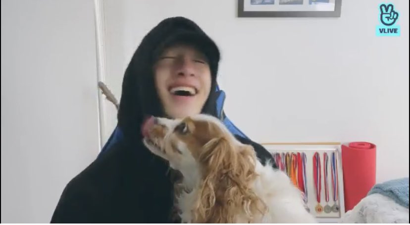 bchanhourly's tweet photo. chan doing channies room on his actual room in australia makes me so so happy, i’ve been crying non stop since i saw him on tiktok live earlier 🥹 https://t.co/2x4MT3Y0pR