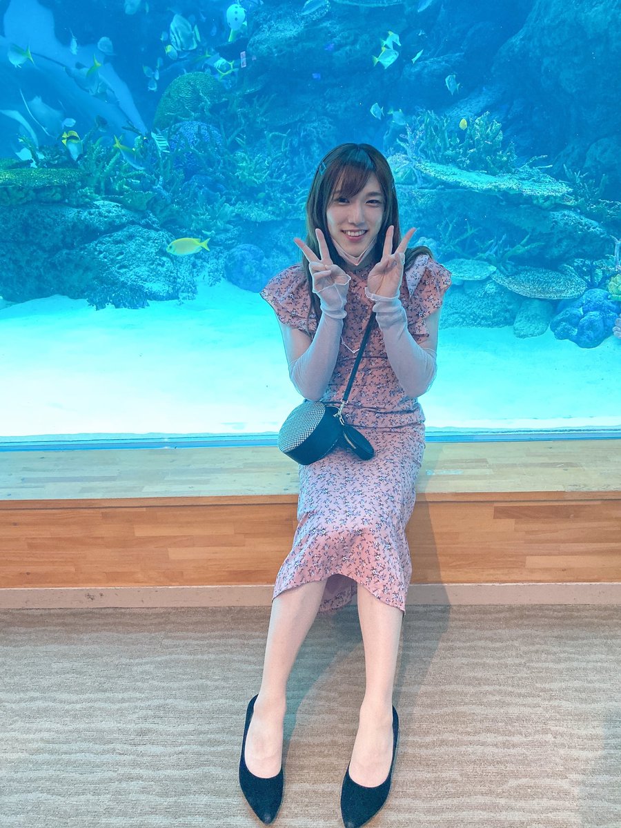 めぐ (@meg4sep) / Posts / X