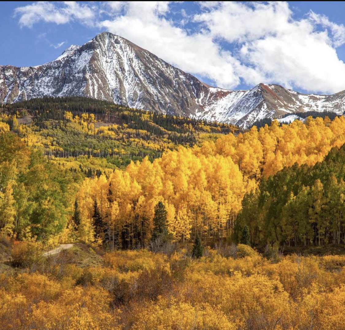 Bleu_Owl's tweet photo. Peace ✌🏻 and Love 💕 ALL ~
Anne’s Song / John Denver
https://t.co/CkFa0CV5TQ
#Write2Fite #BraveWrite #Aspen https://t.co/CKfJwzsAuX